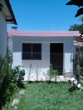 Departamento MGS